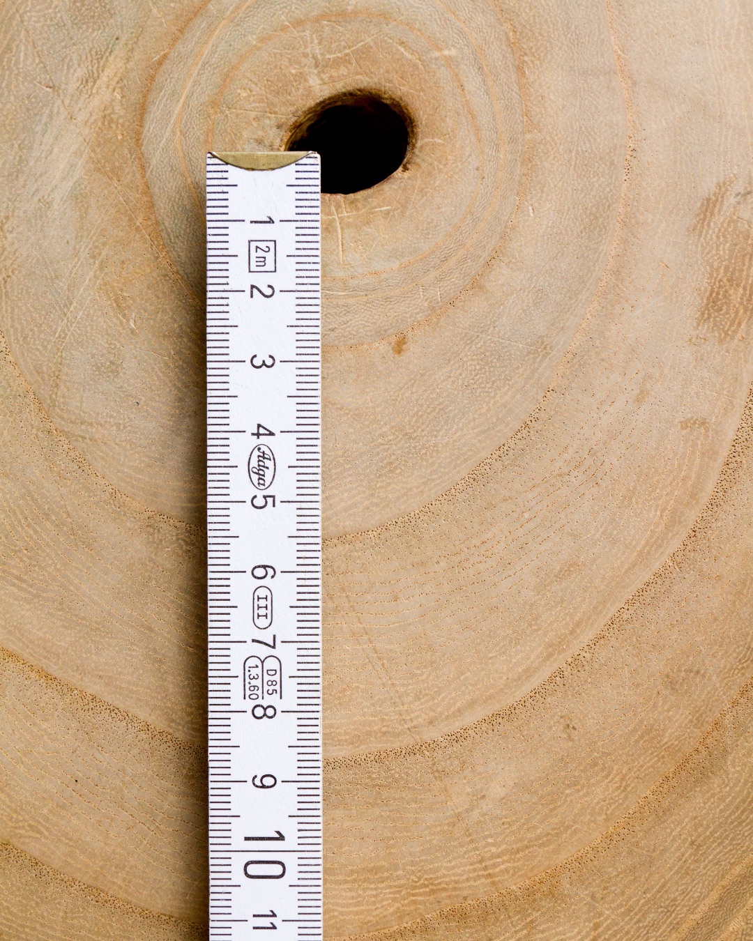 Cross-section of Kiri timber measured with a folding ruler